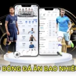 cá độ bóng đá ăn bao nhiêu tiền?