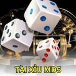 tài xỉu MD5