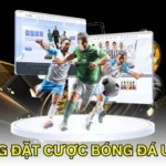 K8 chia sẻ top 10 trang đặt cược bóng đá online uy tín