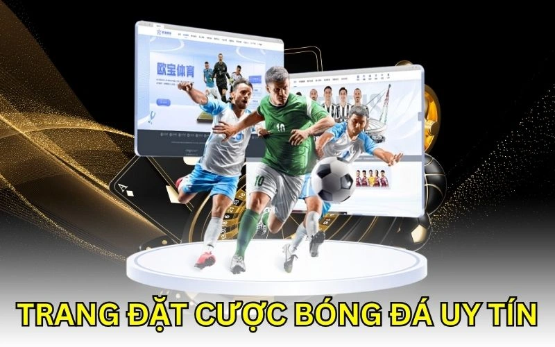 K8 chia sẻ top 10 trang đặt cược bóng đá online uy tín